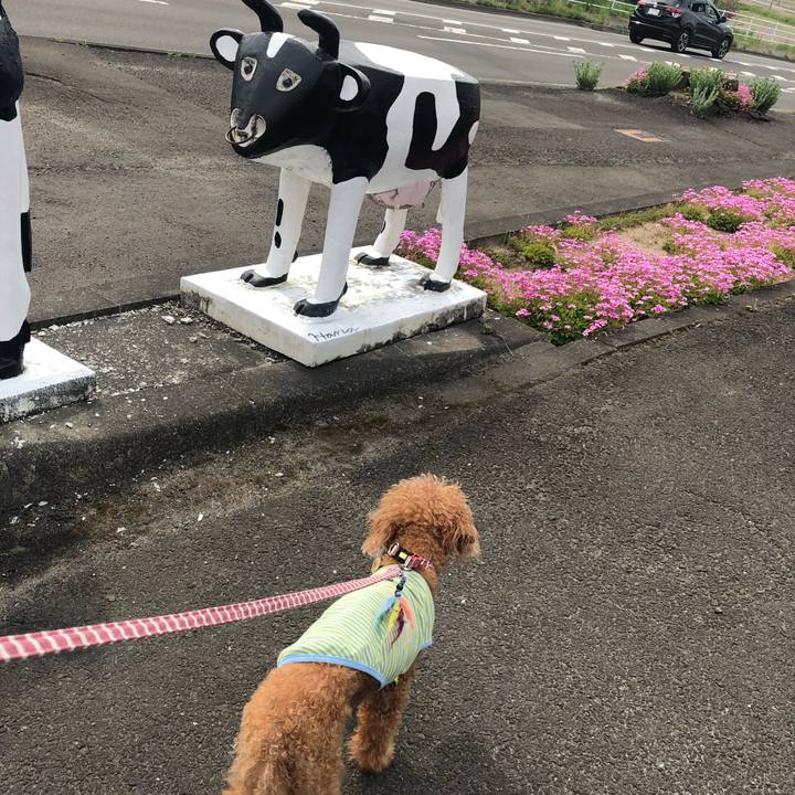 4e859d2a 1b78 4f1d 8e14 5febd8341229 1653212769606