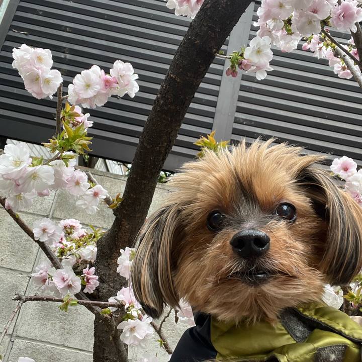 4e85a8ac 6c39 48f4 ba79 efa5792bcf75 1712369656710