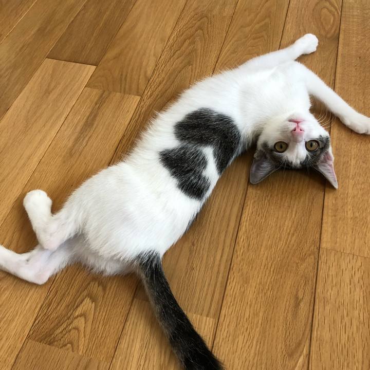 4e85ab4e d9b3 4779 ba39 164f25597f99 1568004416679