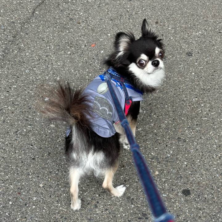 4e85f15d 6278 4c53 bb40 f28417201424 1723996014591