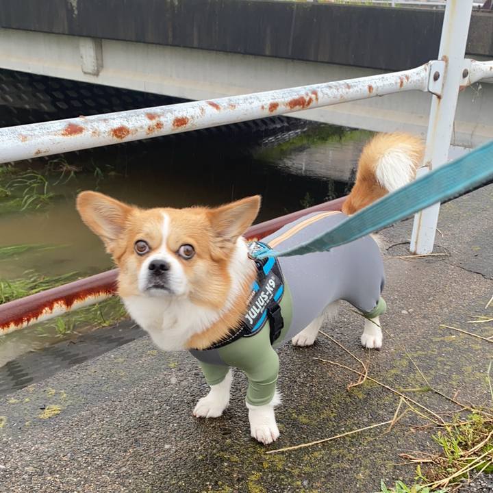 4e85f2e2 4d68 40bd aa9d 4b1a58fe7463 1685664534913