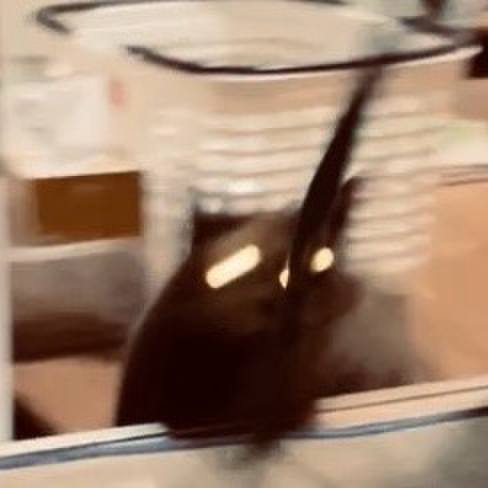 4e85f3dd c184 4ae5 9380 67378baa7010 1728846960949