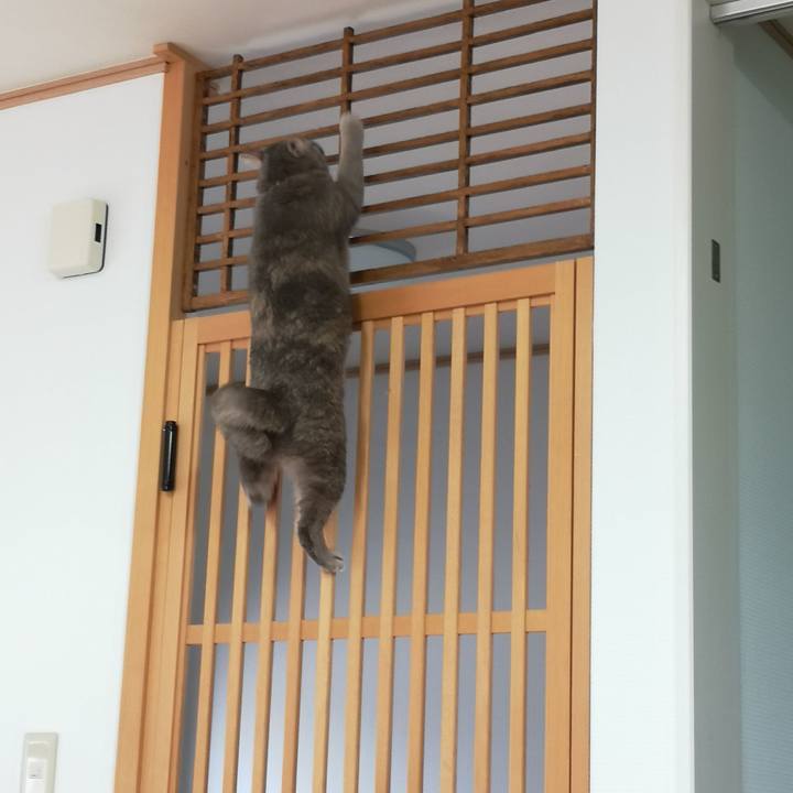 4e85ff87 c0c5 4bff 87eb f5e880968ebe 1568016376801