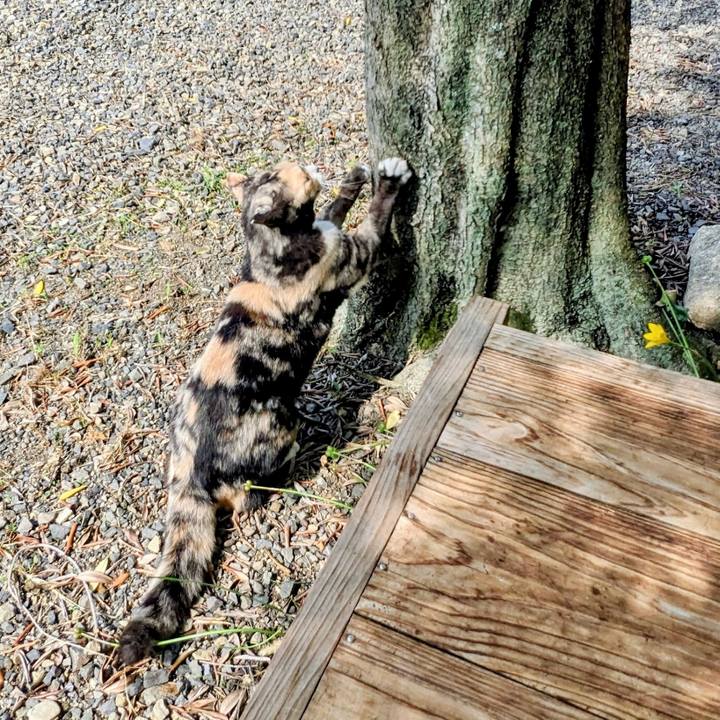 4e8603bf 8a6c 496e 9e77 786b65b6919d 1758074905131