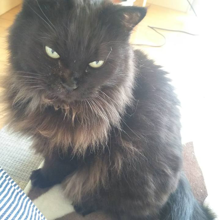 4e864558 4f75 489b 8787 953c31c503a6 1574381054151