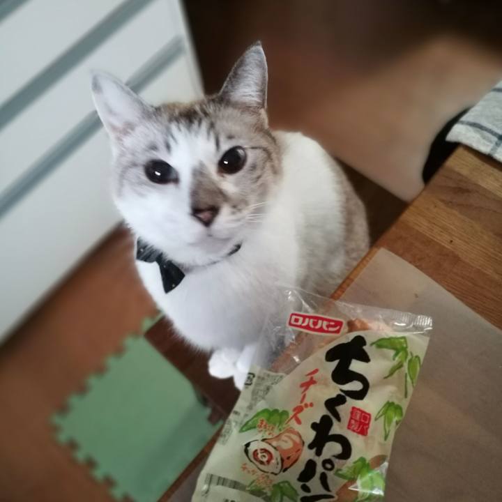 4e86482e b2ee 4a15 88d0 b6547e4d2d2b 1542523097717