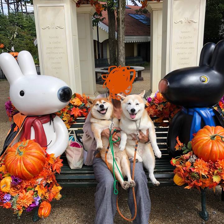 4e866dcf a2c9 49dc a030 b854b30df774 1546659715906