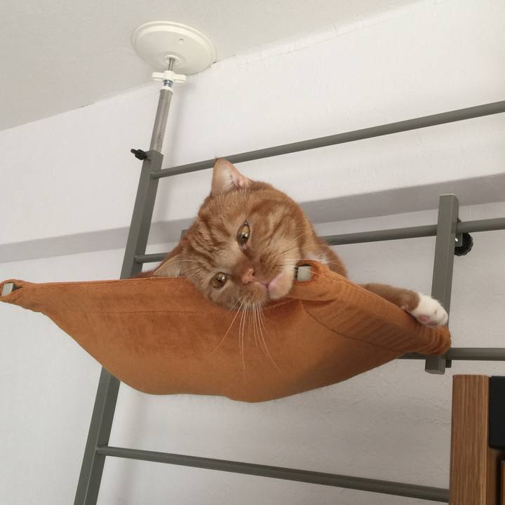 4e867075 b9bb 4f07 911c 4e01b40dbb69 1550276023819