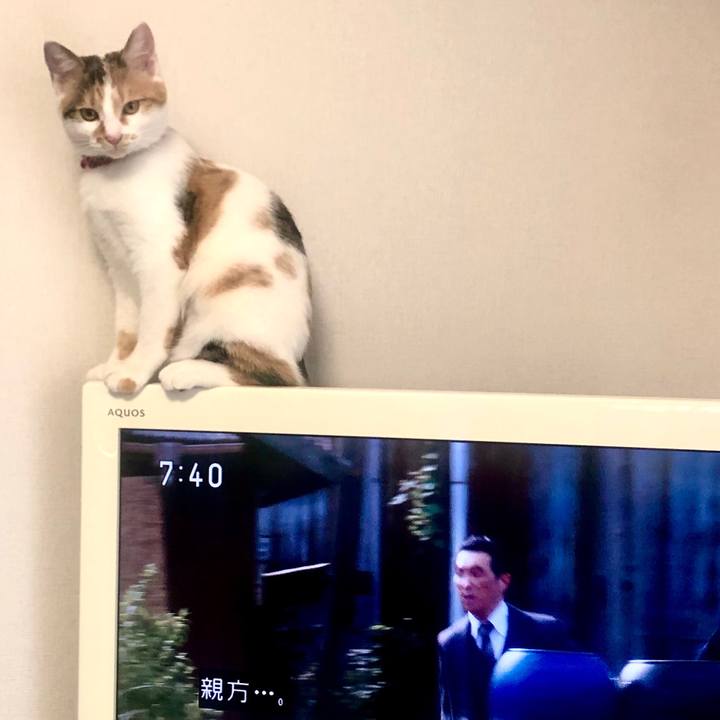 4e8672dc 0097 44fb 878c ddc9e56c6420 1572996644354