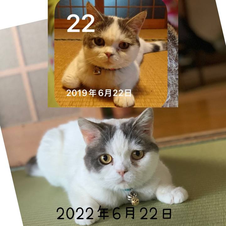 4e86bc70 9d7f 416a b132 a1b29e857452 1655856489205