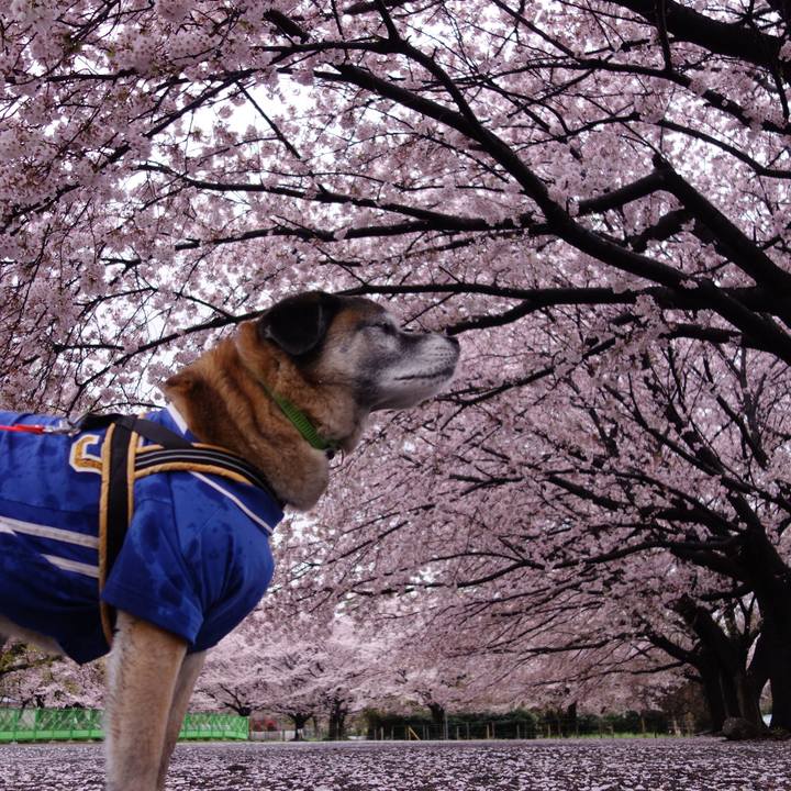 4e86c19c adfe 48de a095 4a55580bcd23 1712540702970