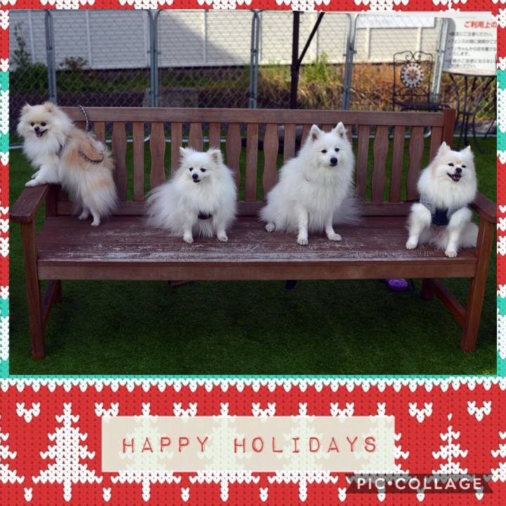 4e86d586 b340 469e 9a91 1887fce82833 1576398840489