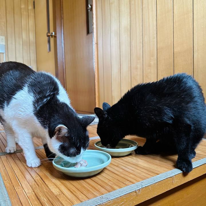 4e86f229 8d28 44b3 867b 29534c833de5 1693963264473