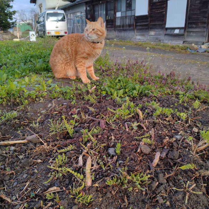 4e86f2f7 ac53 44b1 9940 06000b912f68 1681770358304