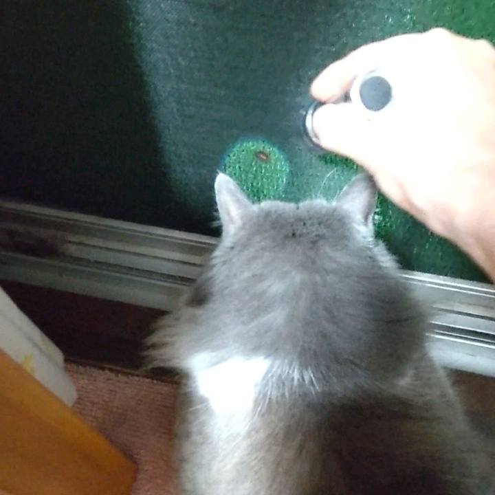 4e86fbb0 f0a5 4f5a a2ee daab2000992c 1688887574200