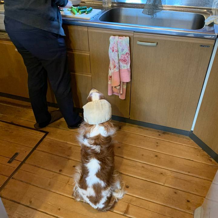 4e870801 33dc 4efa a477 820d75b583d9 1620083545848