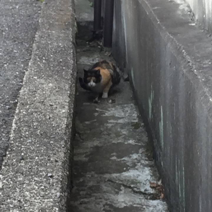 4e871575 b589 4aa9 bc44 27788928c552 1519779151835