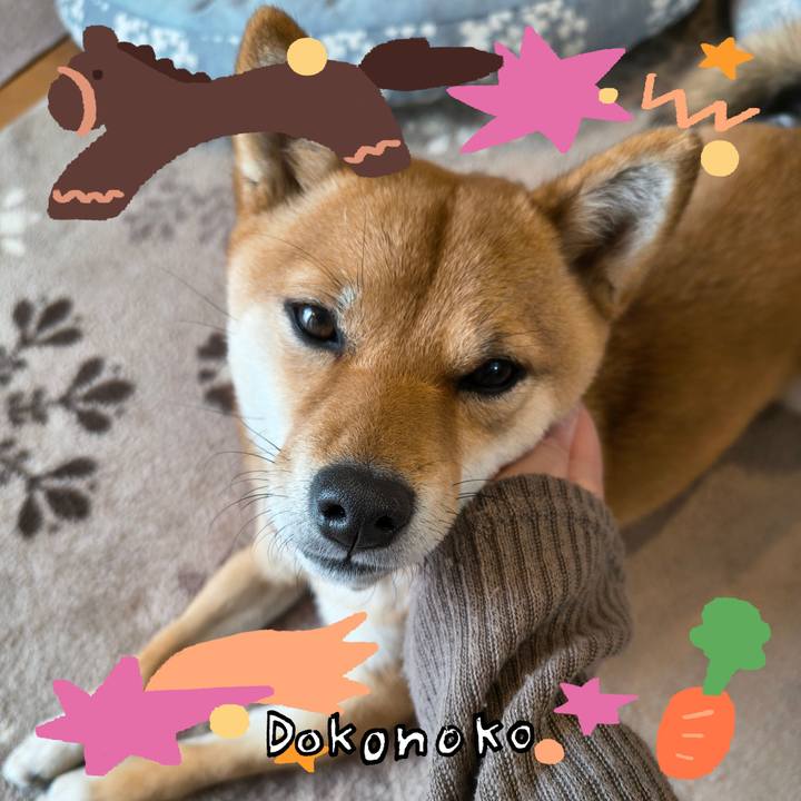 4e87221a 1127 4a51 8fd8 80bd9b403046 1772413745269