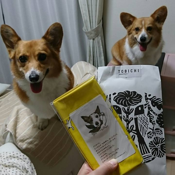 4e8733ad 0a88 4c9f 955a 62f95d982884 1524397595090