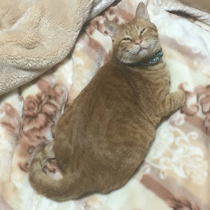 4e876b18 bc3d 4cd0 a42d 95fcc74667dc 1546770152717