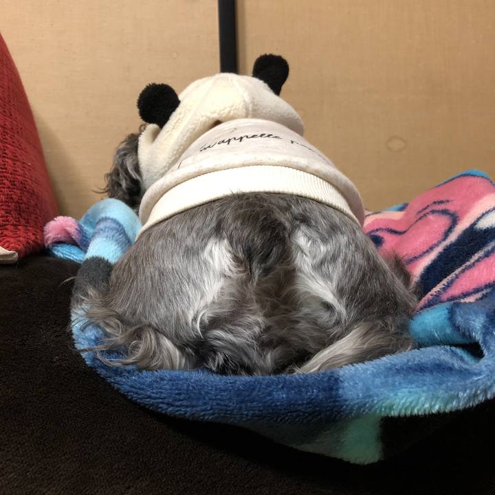 4e87a14a 5ebd 4e2c 9828 0bd9e693cb27 1543666310195