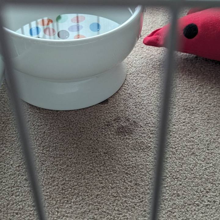 4e87bb65 c7ff 42dc 8707 d23652f56b8e 1699022273536