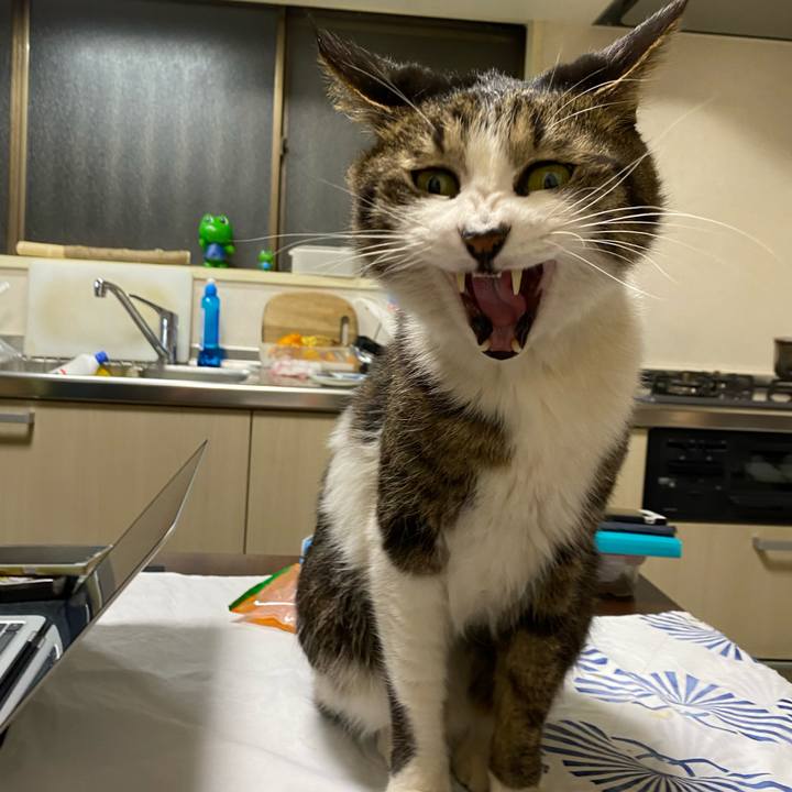 4e87d3f7 918b 40a5 a843 c0565a7ad48f 1646374478887