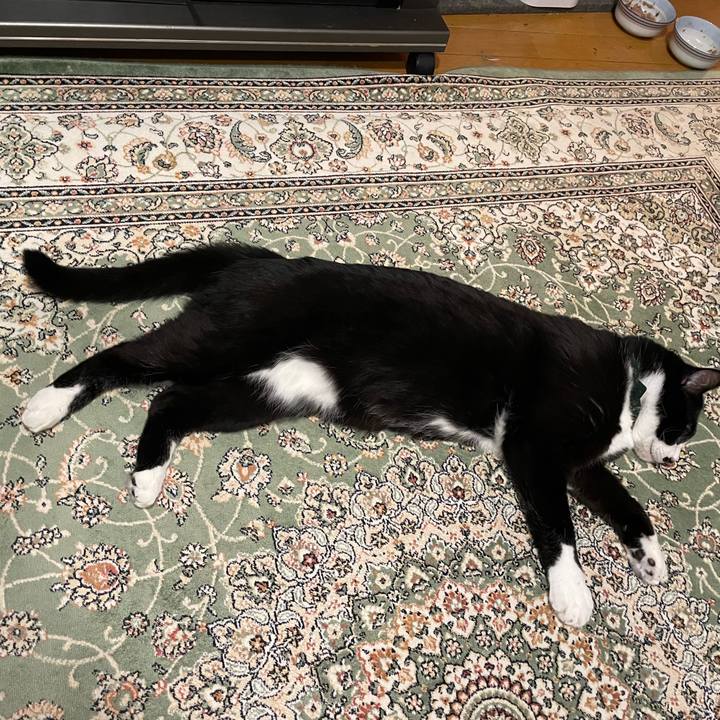 4e880e71 4b24 4629 a933 58988939cc4f 1703076518231