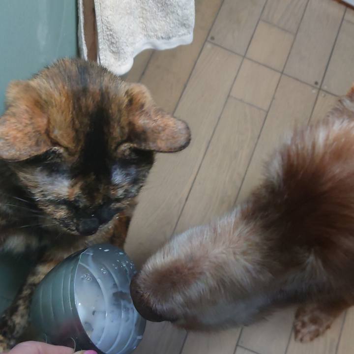 4e88273f bab7 44e2 a4e5 64b1af7a82cc 1741391876752