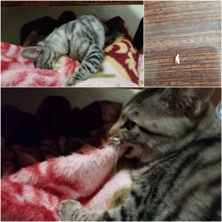 4e889f75 4f14 4eac 9528 0c2b238a1d67 1671089051116