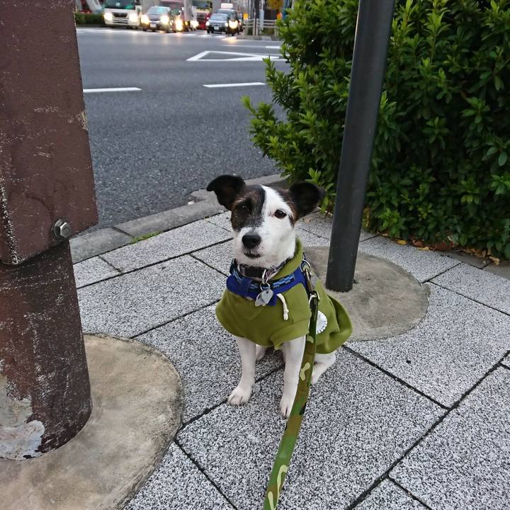 4e88b316 1a97 42d8 96db 1c7e0363c6bc 1511992757684