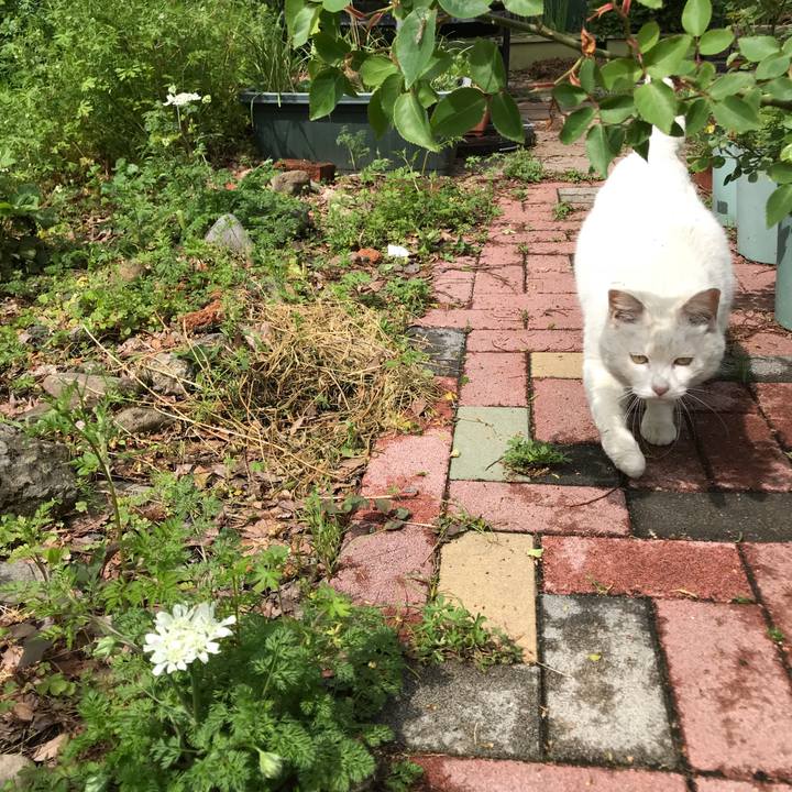 4e89485f 2530 464f 85dc 850cce0711fb 1523755147765