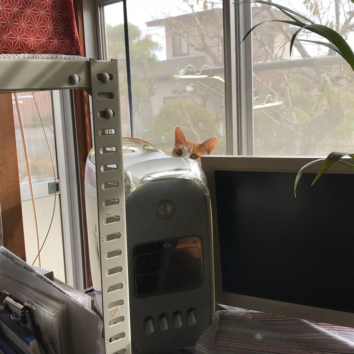 4e8955de e54a 4345 bd98 e9a42e4abde4 1511333609776