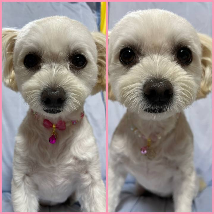 4e899196 f83c 42a5 97f1 264f09f32858 1662460018813