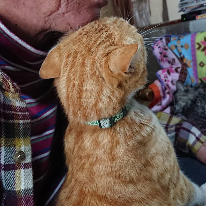 4e8999d5 e99a 4324 b75f 186dccfb286c 1585454375062