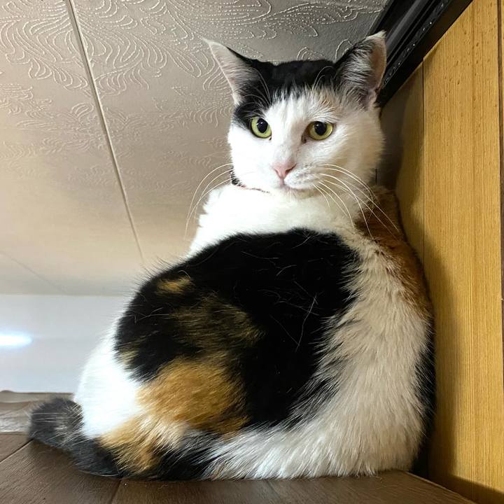 4e899f1a fd5c 4065 8735 b6628ab68cb5 1651095413292