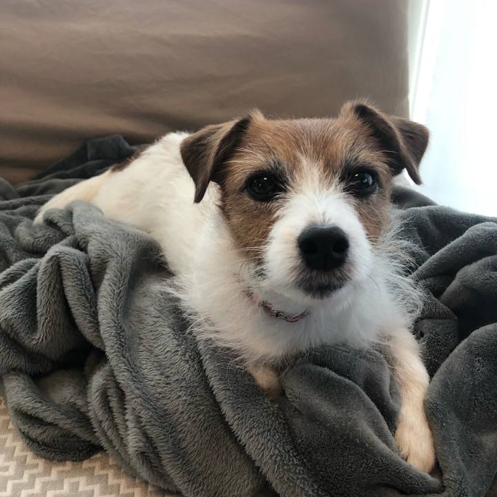 4e89b90d 3ef4 481b a9c6 1e06dab3c534 1614601097899