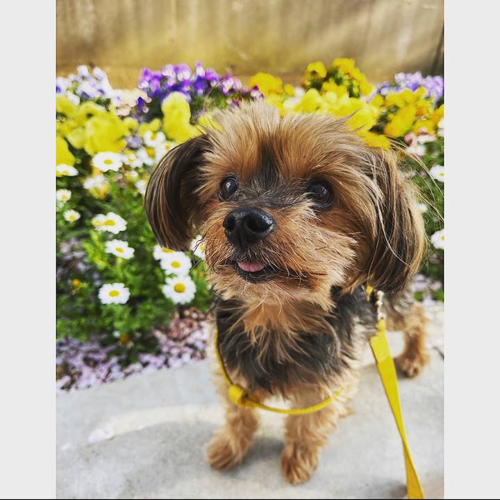 4e89e042 31d8 418e 94b6 492eb5ef3d3a 1680578876087