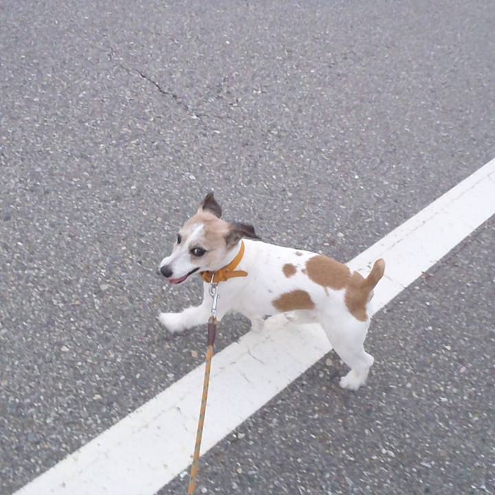 4e8a1a1d b028 47d6 a39c e8e3b9c8c638 1530356694731