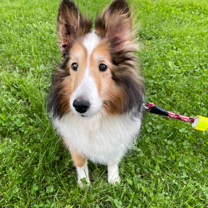 4e8a1f02 d850 4c2a aded cefbefa6e9df 1622713818589