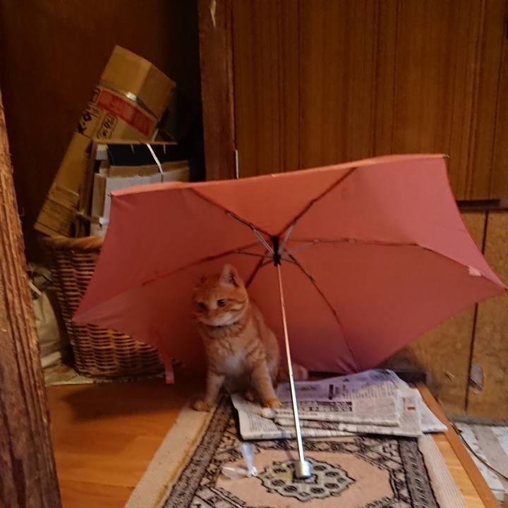 4e8a5ba5 be0d 4698 bff6 47b0e1c6a26f 1657878843794