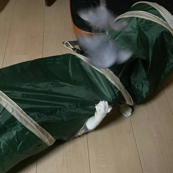 4e8ac773 5a83 4309 bcd0 2093a85d29ee 1637604756333