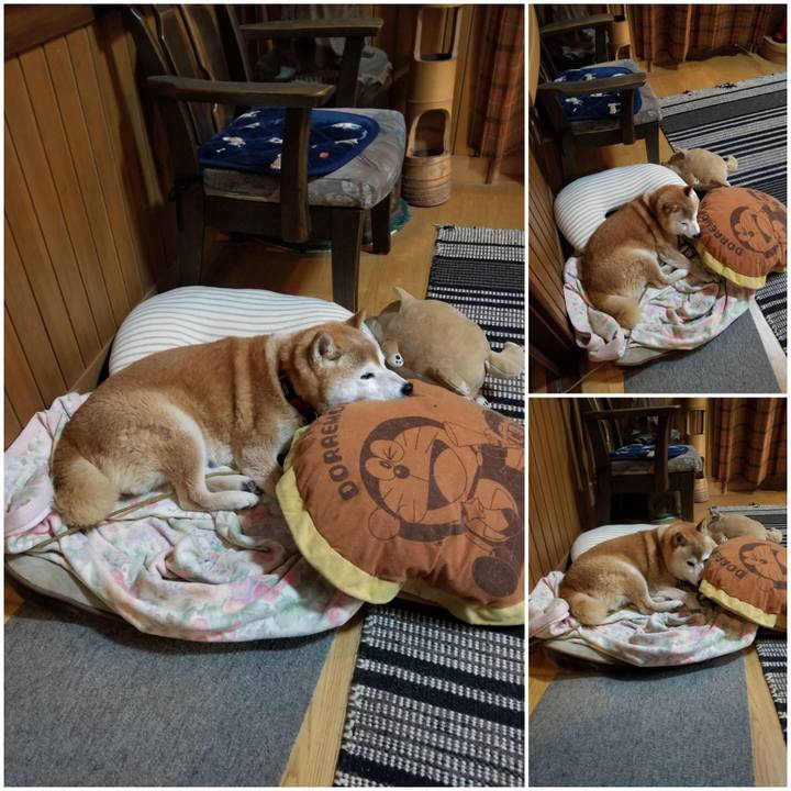 4e8adcf7 892d 4533 ac2d 677669c75cab 1718012829657