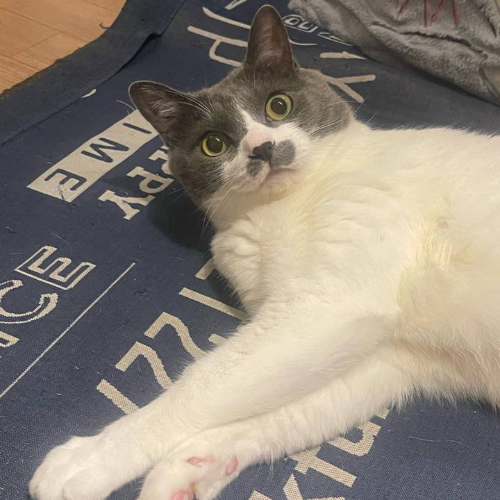 4e8b215f 1c16 449c aac6 f4e4f4a774db 1749395587442