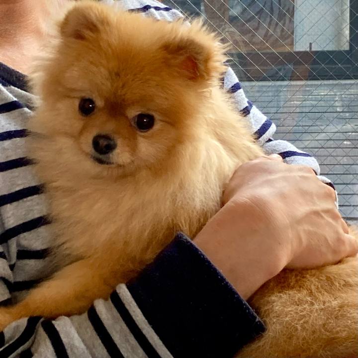 4e8b2550 992e 452c b5b5 3947dae686b8 1713576380444