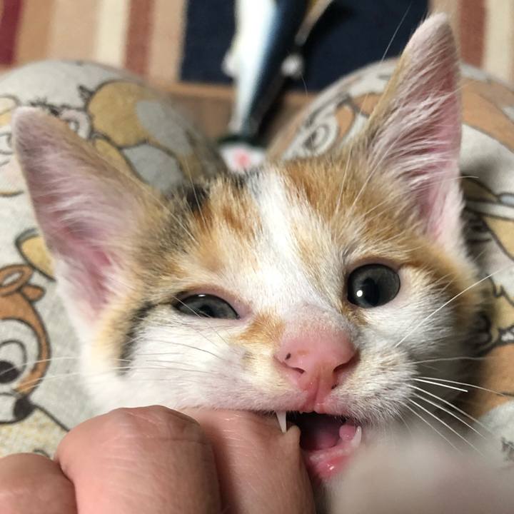 4e8b3b84 8e4a 41b1 ac5f 5d70f56f58c7 1561694125446