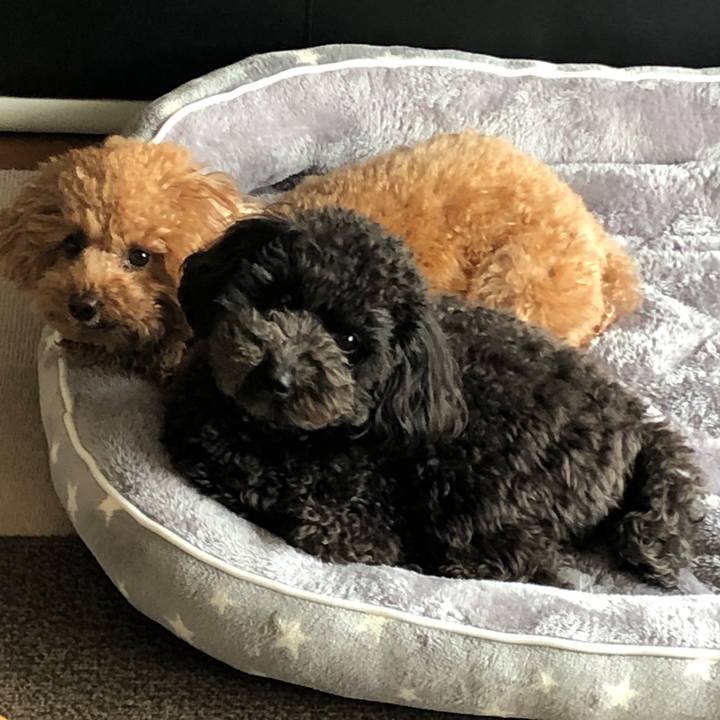 4e8b4195 eb16 41da 962c 2c7cf8a2a079 1582028201132