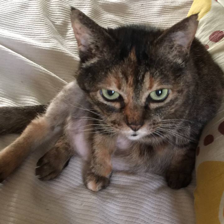 4e8bc1a5 4c47 406c b156 679b53ad6275 1549159099201