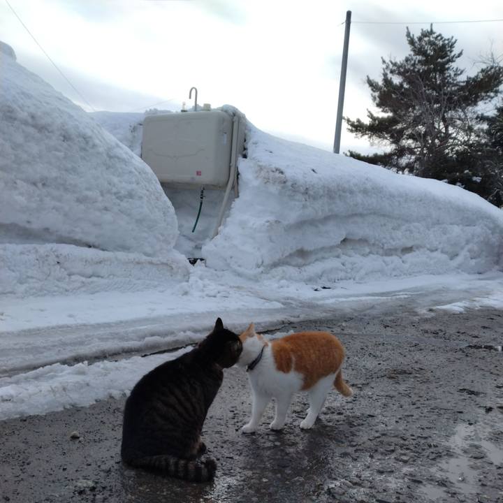 4e8beddf 1f19 46d9 b1ea 8314eb712fb3 1770711162548