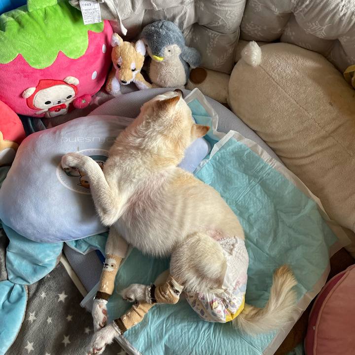 4e8bf021 a6b4 431a a30c f010735a729c 1681910652873